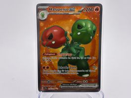 Stürmische Funken  - Halupenjo ex  (SSP 216) - DE